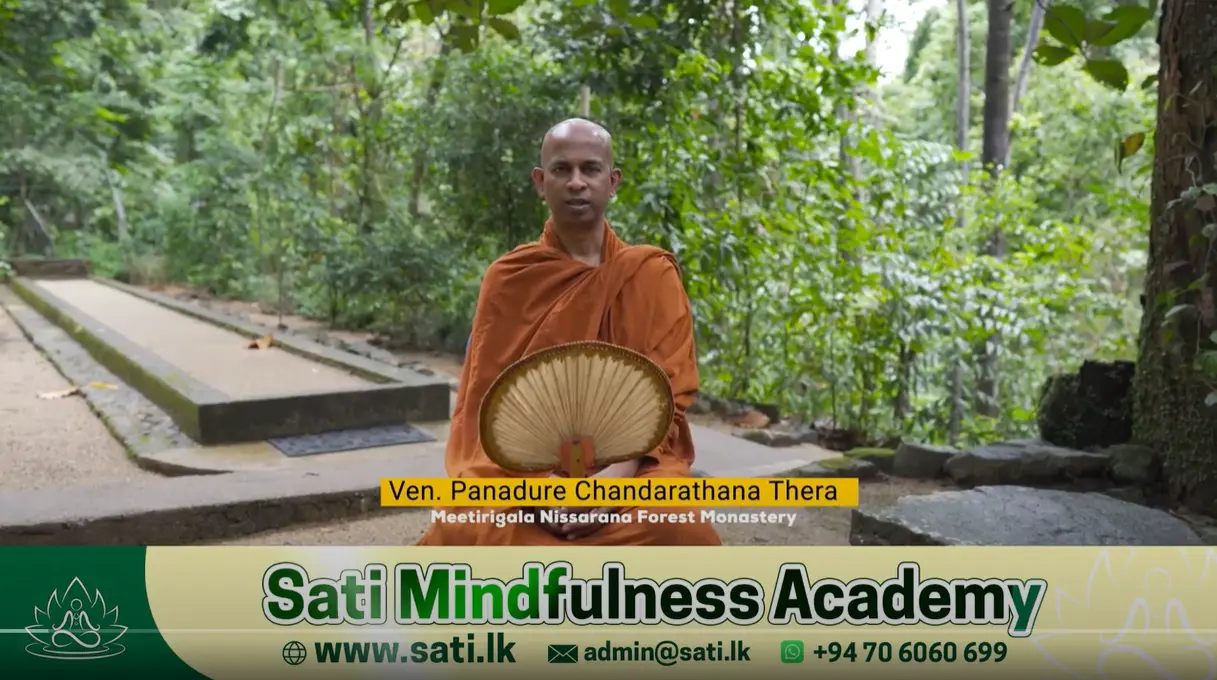 Sati Mindfulness Academy